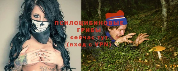шишки Абинск