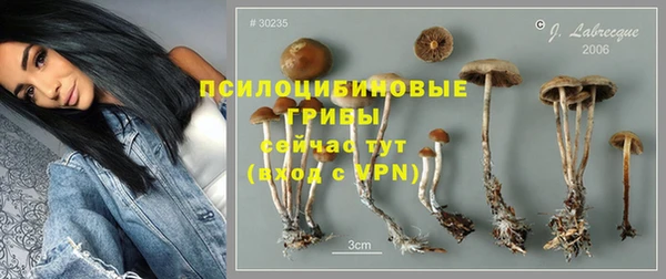 шишки Абинск