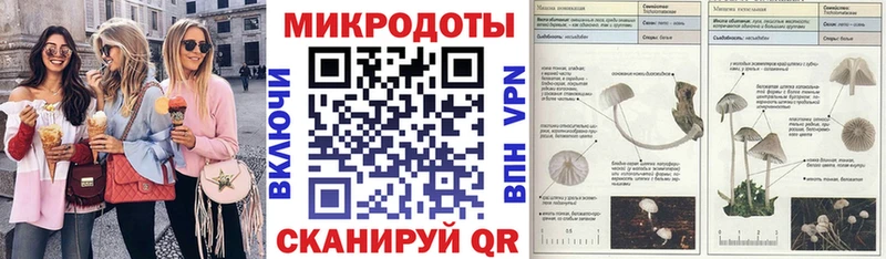 Галлюциногенные грибы Psilocybe Черемхово