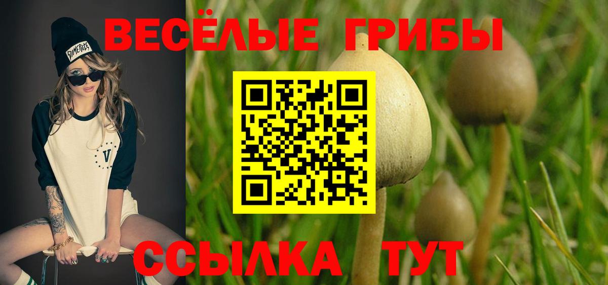 Псилоцибиновые грибы Magic Shrooms  Вход с VPN  Черемхово 